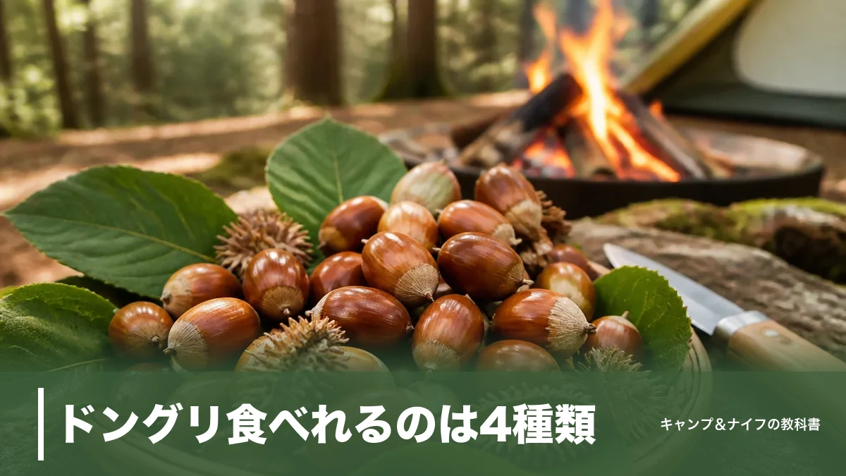 ドングリ食べれるのは4種類｜アク抜き不要の見分け方と虫の処理・食べ方まで解説のアイキャッチ画像
